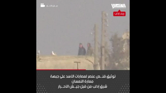 قنص عنصر لعصابات الأسد على جبهة معارة النعسان شرق إدلب أمس الأحد من قبل جيش الأحرار