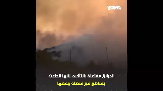 حرائق مفتعلة في جبال اللاذقية ... من يقف خلفها؟